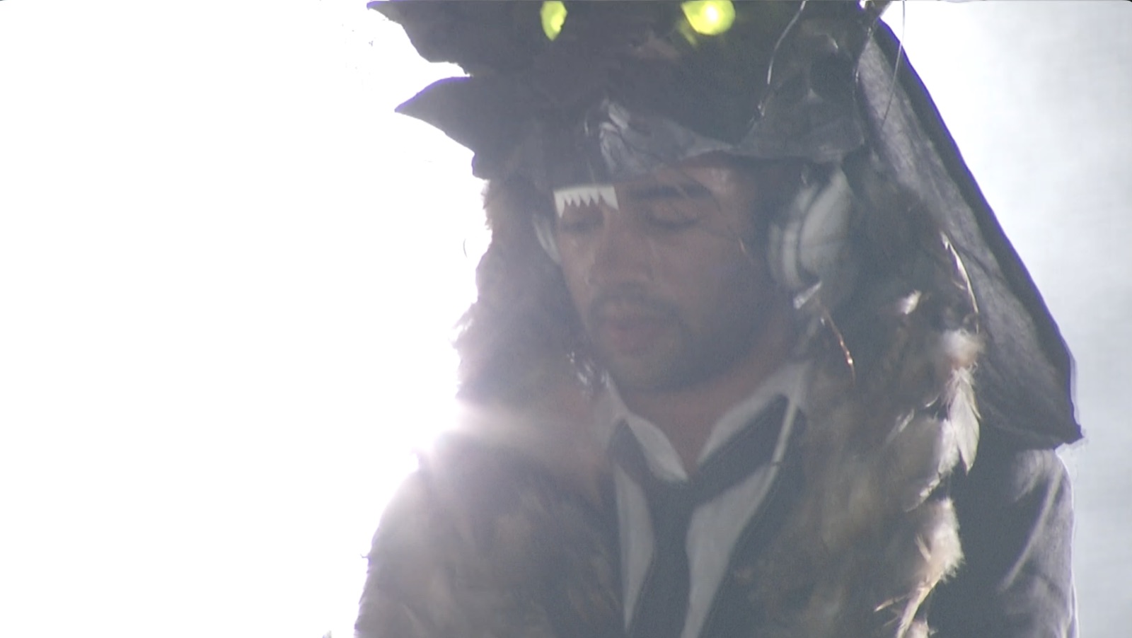 Photo from The Wolf